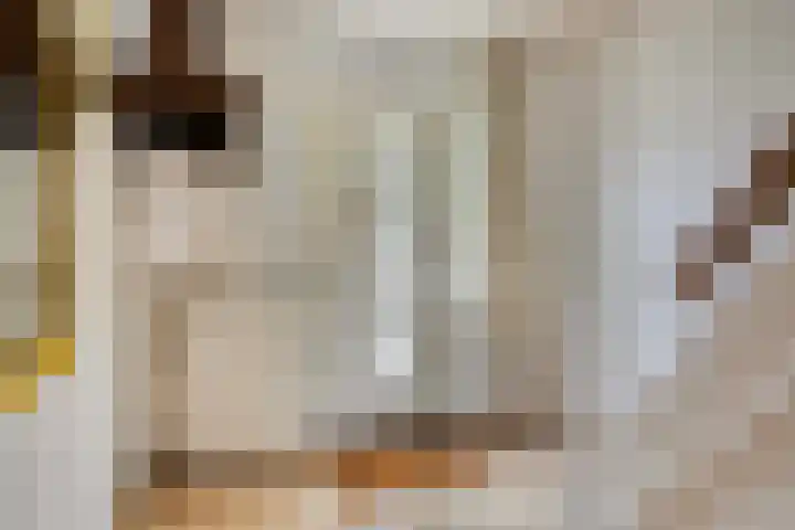 Badhuisstraat 12 Wormer thumbnail 12