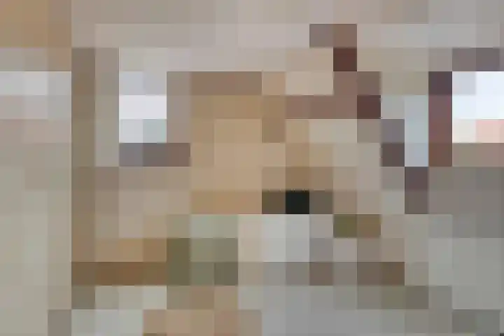 Badhuisstraat 12 Wormer thumbnail 17