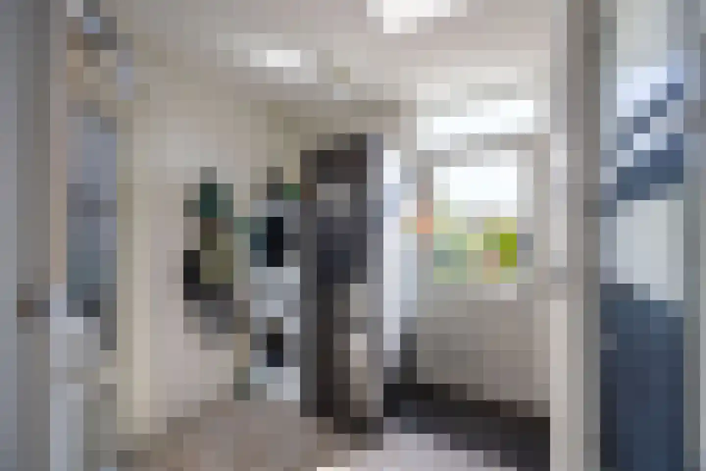 Badhuisstraat 15 Wormer thumbnail 17