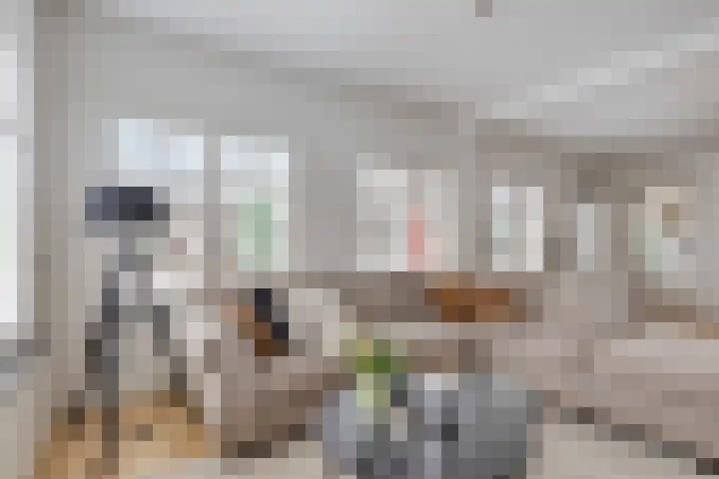 Badhuisstraat 17 a Bergambacht thumbnail 17