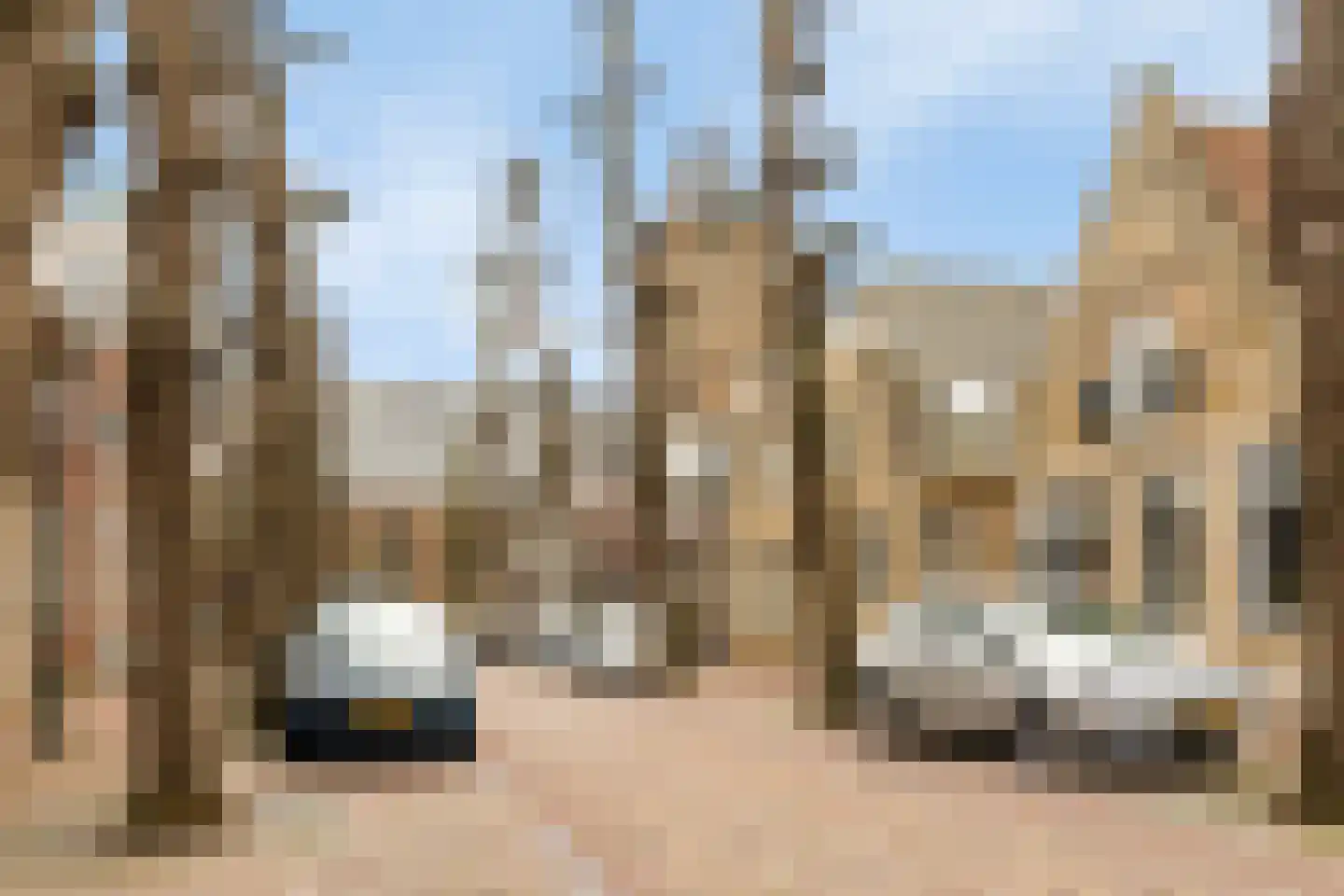 Badhuisstraat 17 A Bergambacht thumbnail 39