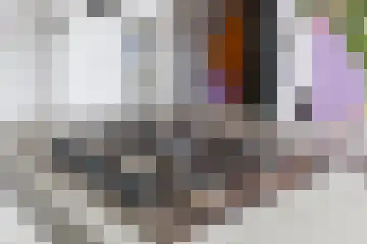 Badhuisstraat 17 Koog aan de Zaan thumbnail 18