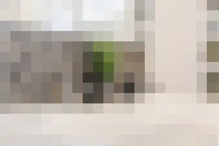 Badhuisstraat 17 Koog aan de Zaan thumbnail 24