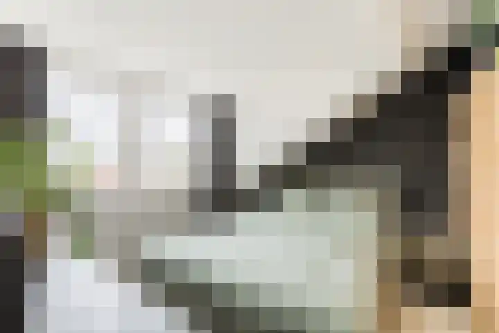 Badhuisstraat 17 Koog aan de Zaan thumbnail 4
