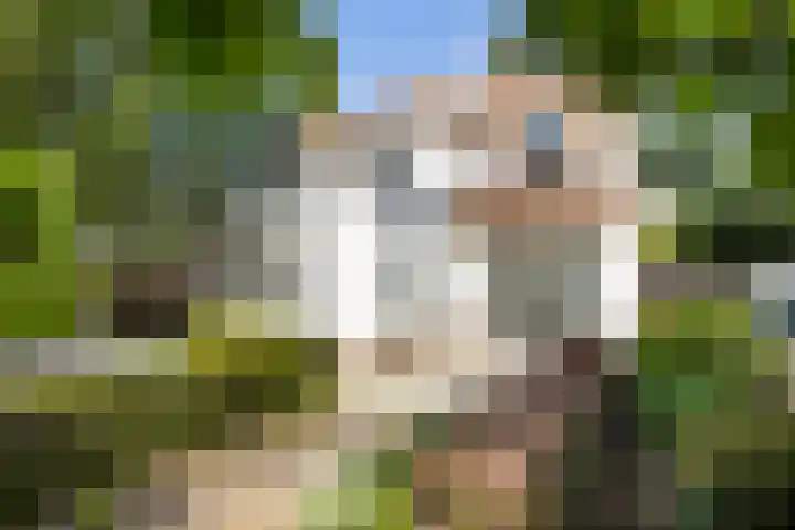 Badhuisstraat 183 Vlissingen thumbnail 13