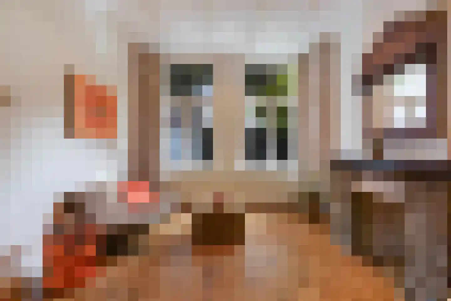 Badhuisstraat 191 Den Haag thumbnail 10