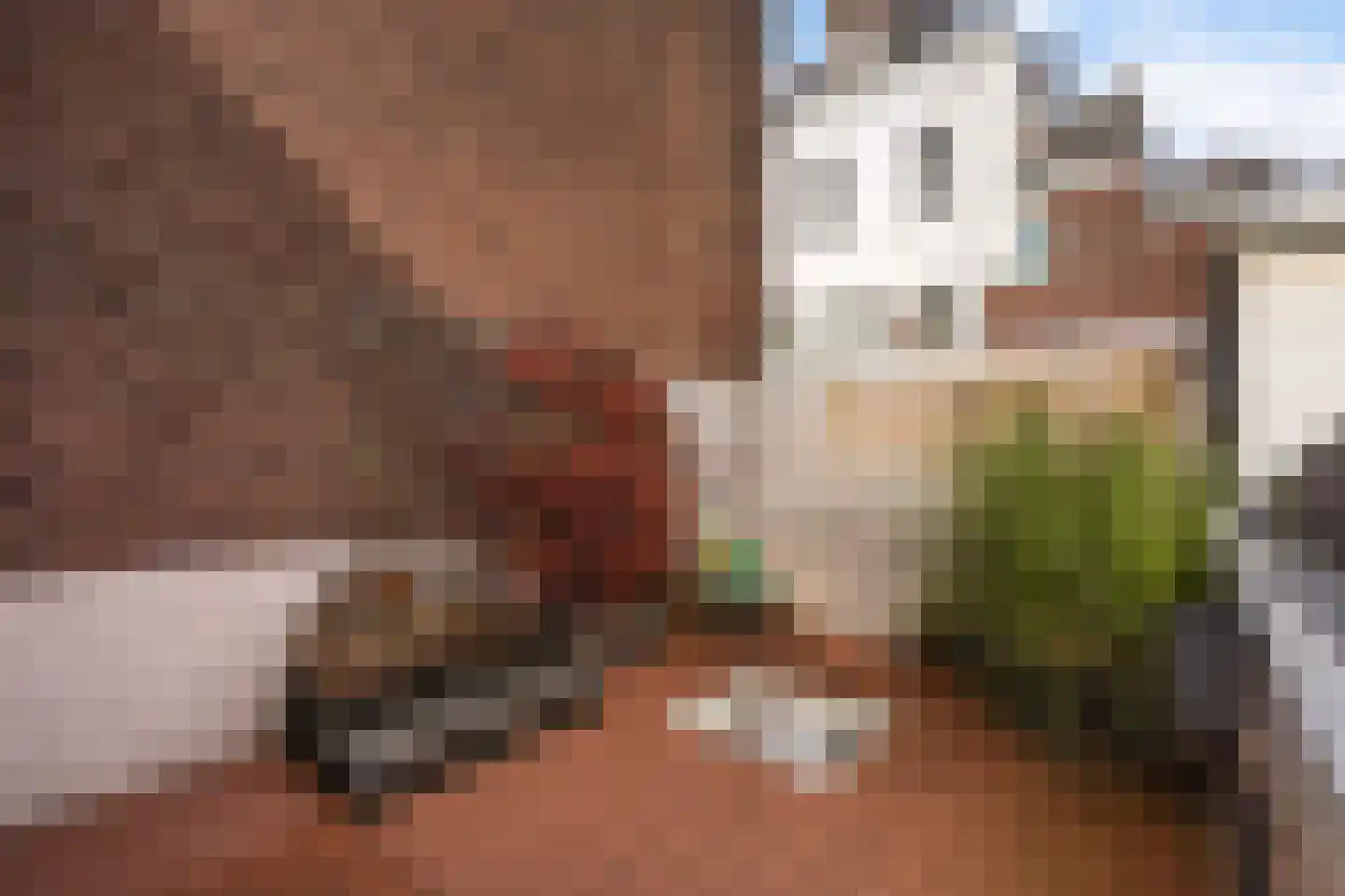 Badhuisstraat 191 Den Haag thumbnail 31