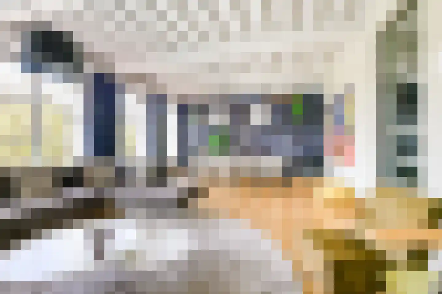 Badhuisstraat 2 a Vianen thumbnail 10