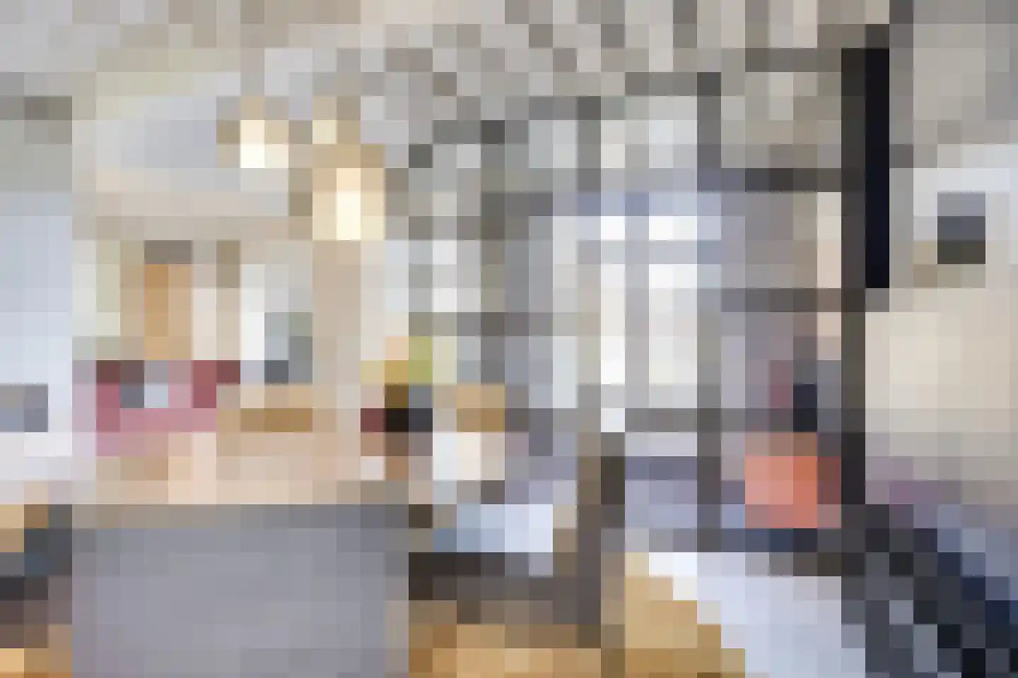 Badhuisstraat 2 a Vianen thumbnail 12