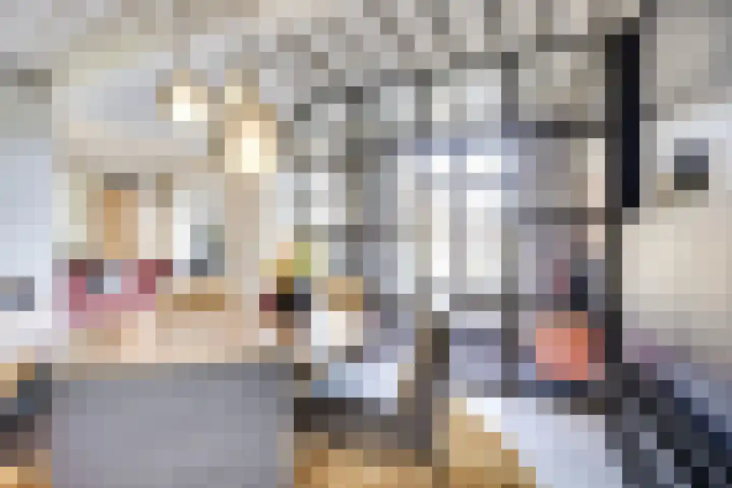 Badhuisstraat 2 a Vianen thumbnail 15