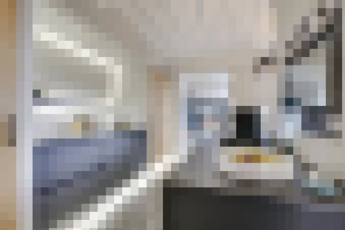 Badhuisstraat 2 a Vianen thumbnail 19