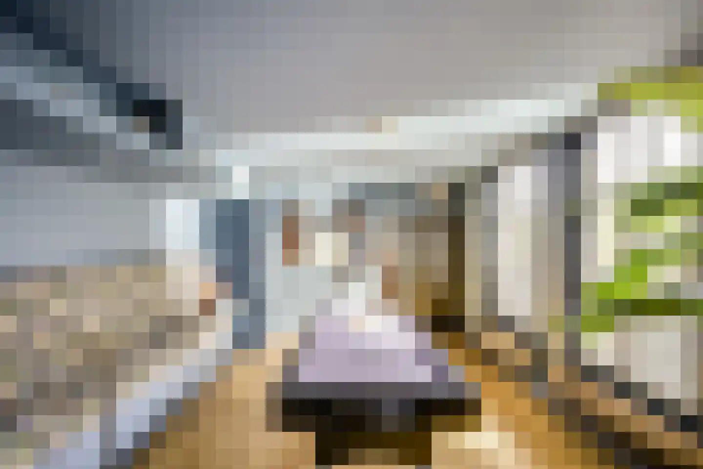 Badhuisstraat 2 a Vianen thumbnail 30