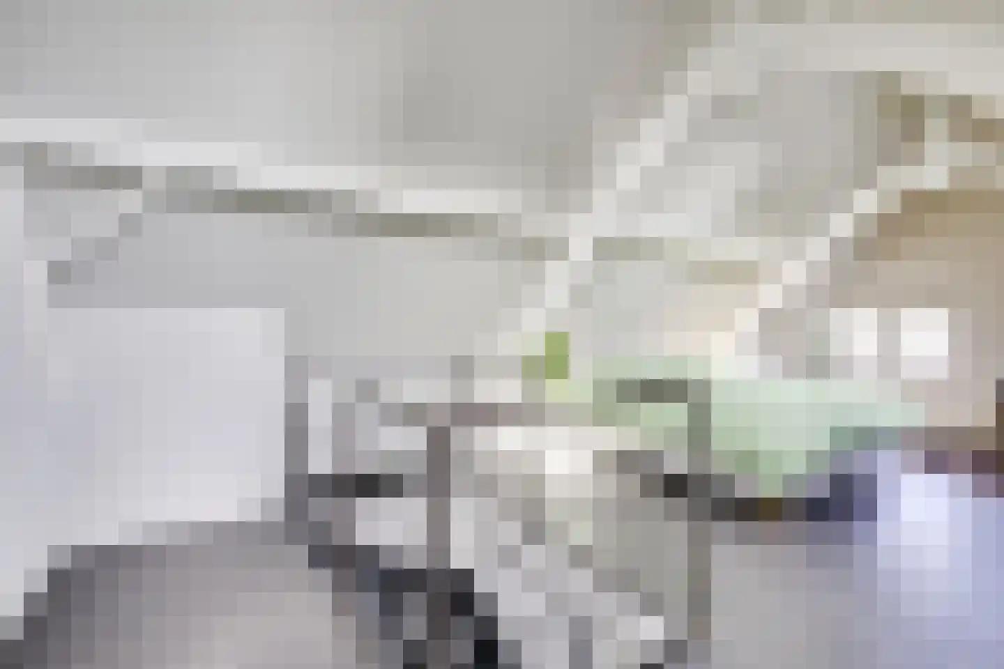 Badhuisstraat 2 a Vianen thumbnail 30