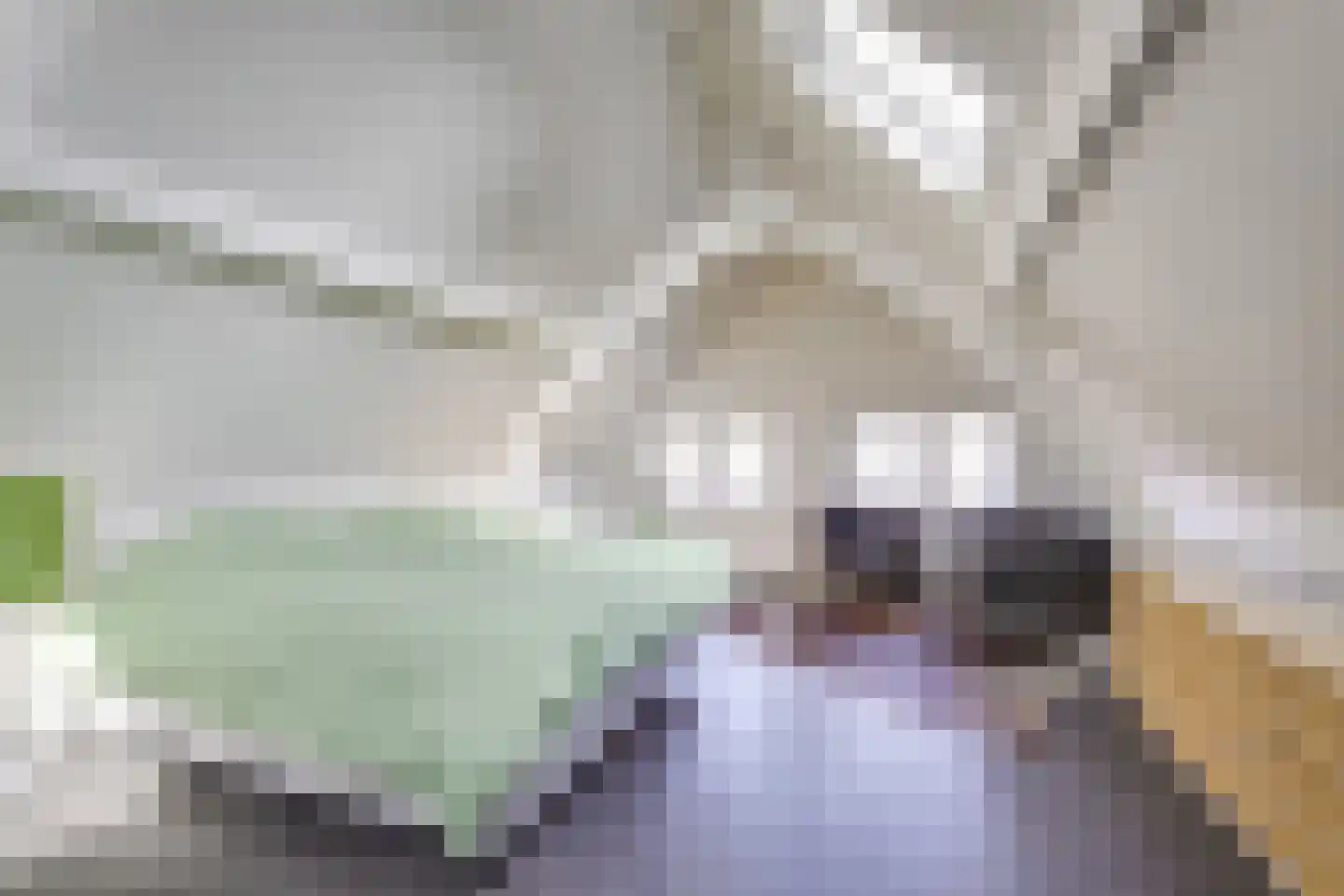 Badhuisstraat 2 a Vianen thumbnail 31