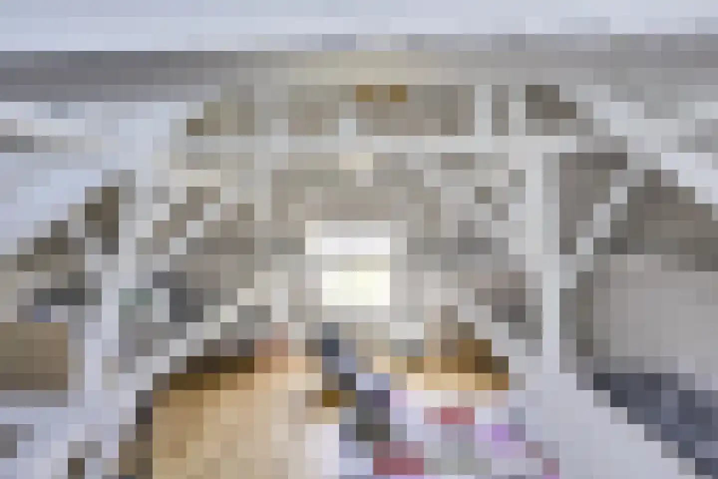 Badhuisstraat 2 a Vianen thumbnail 38