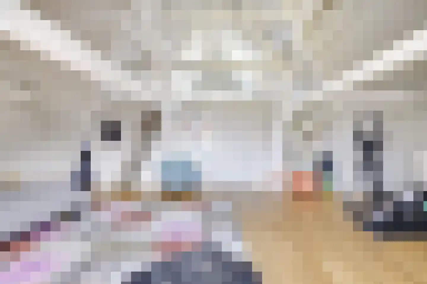 Badhuisstraat 2 a Vianen thumbnail 40