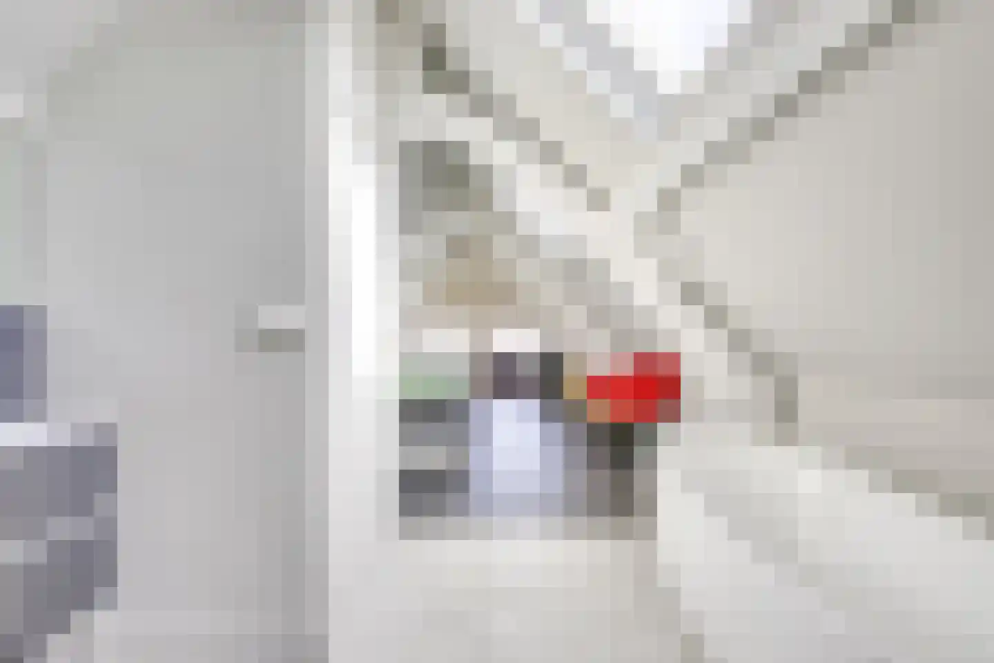 Badhuisstraat 2 a Vianen thumbnail 41