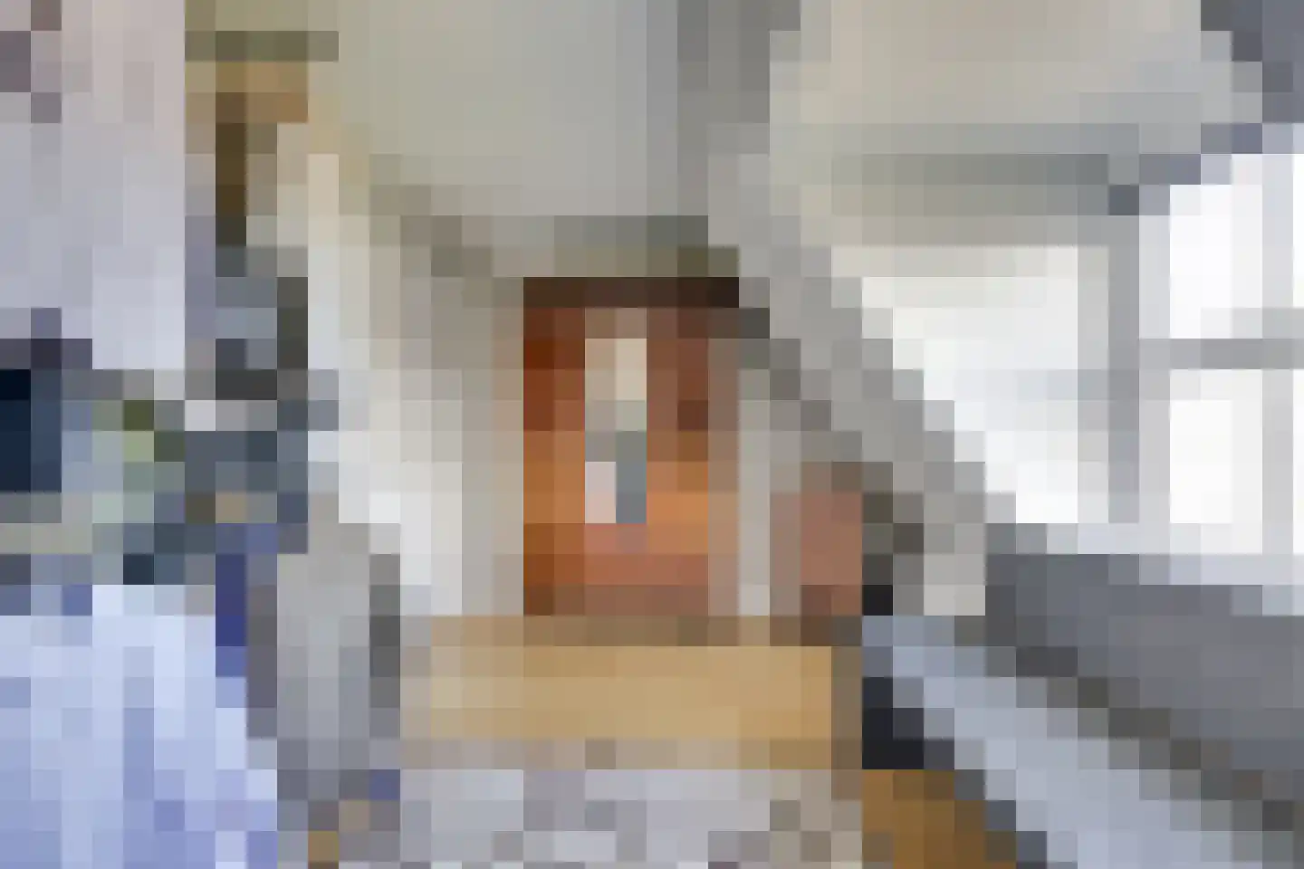 Badhuisstraat 2 a Vianen thumbnail 48