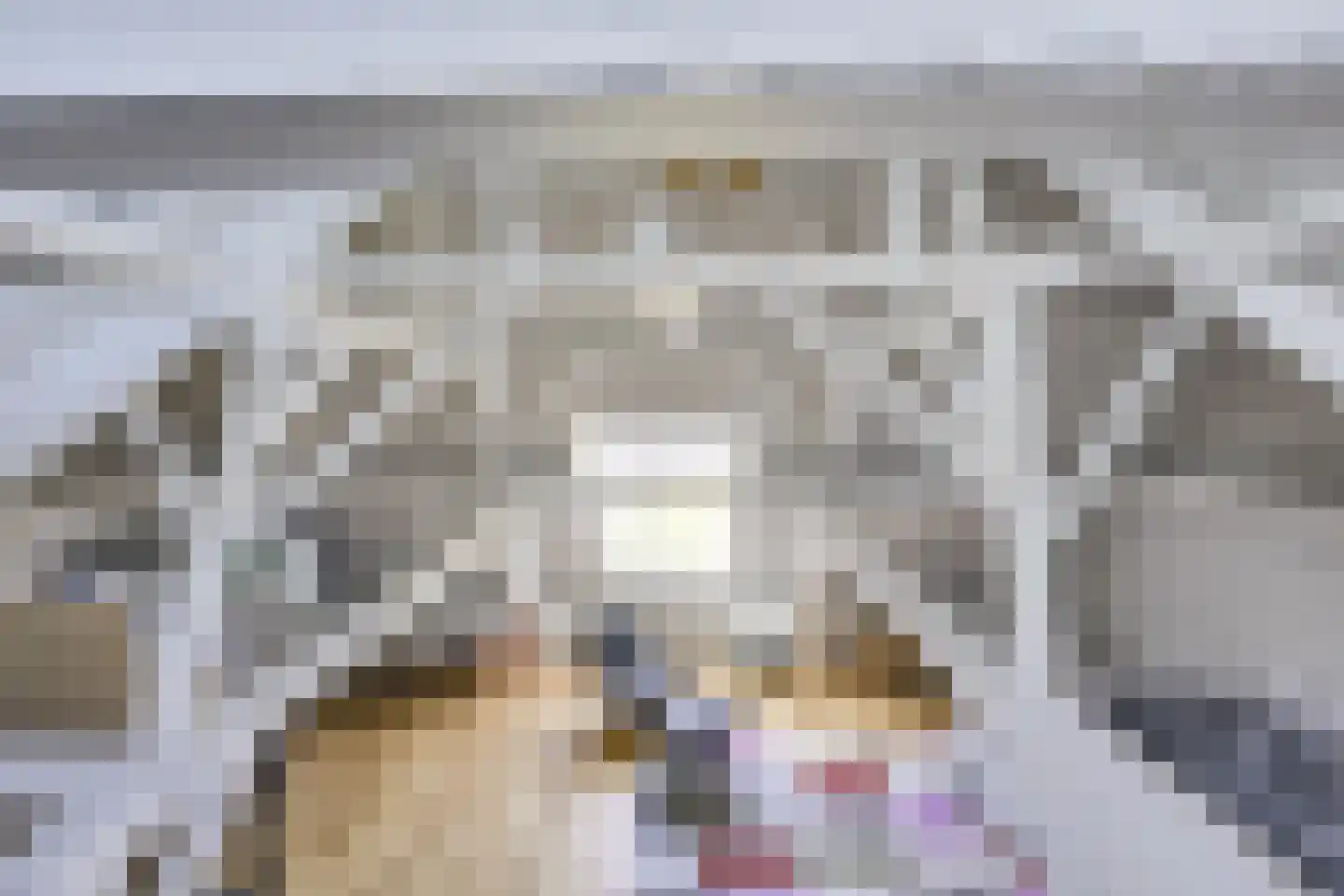 Badhuisstraat 2 a Vianen thumbnail 49
