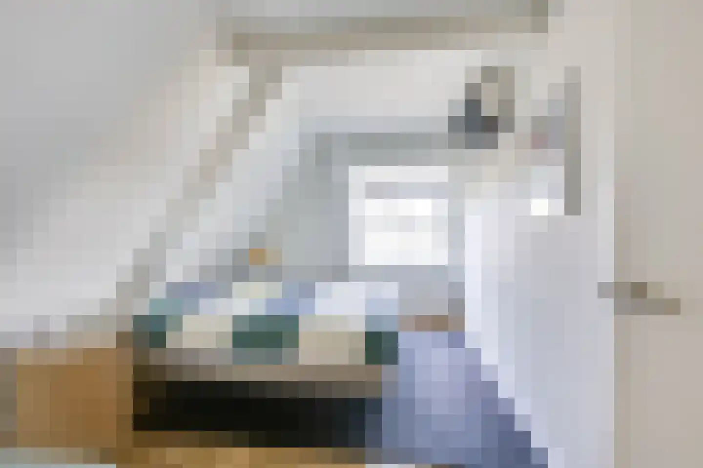 Badhuisstraat 2 a Vianen thumbnail 49