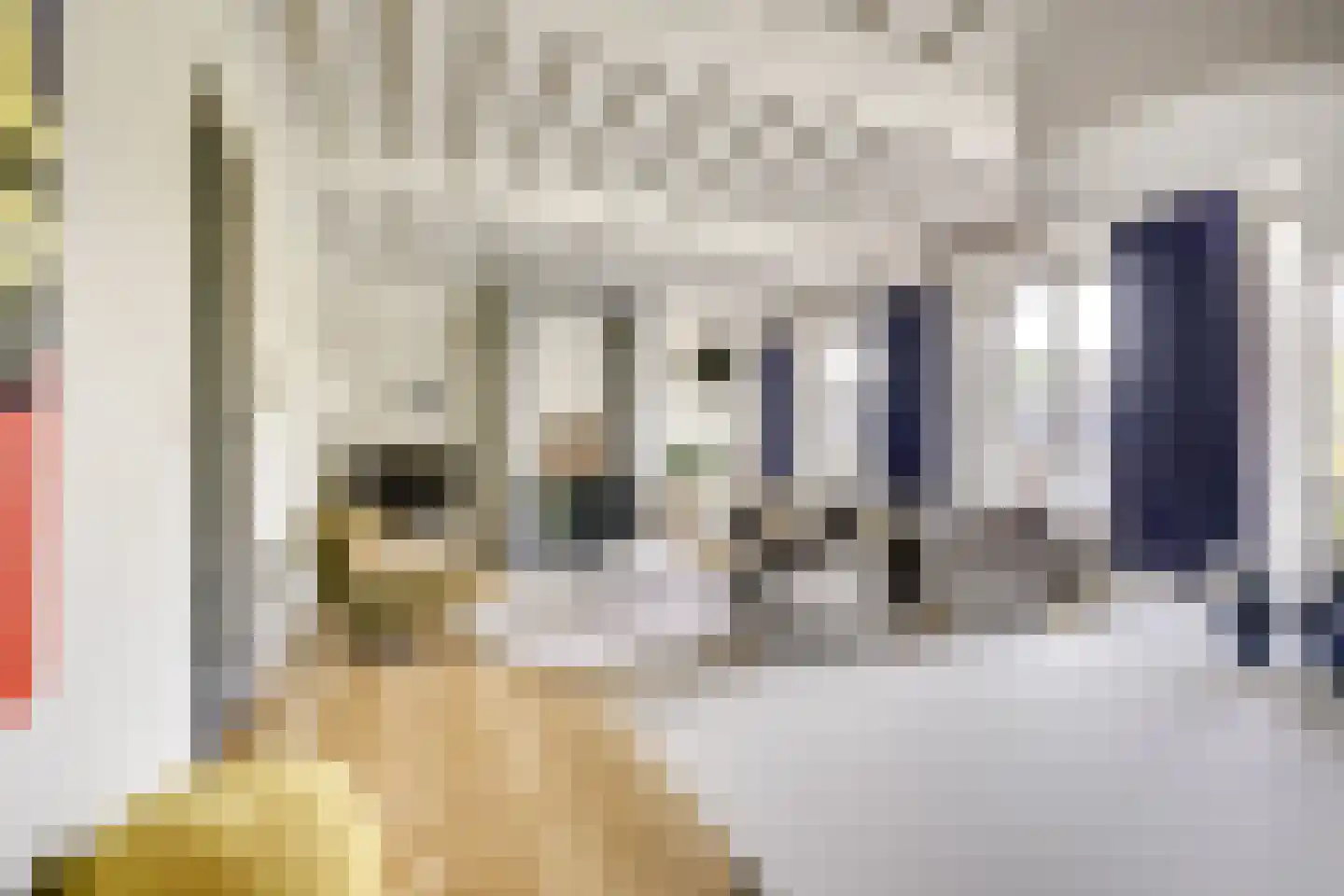 Badhuisstraat 2 a Vianen thumbnail 5