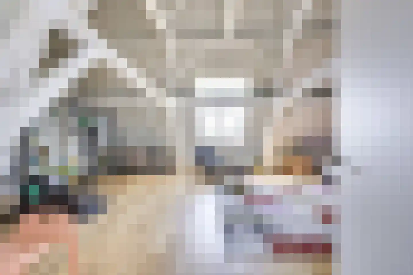 Badhuisstraat 2 a Vianen thumbnail 50
