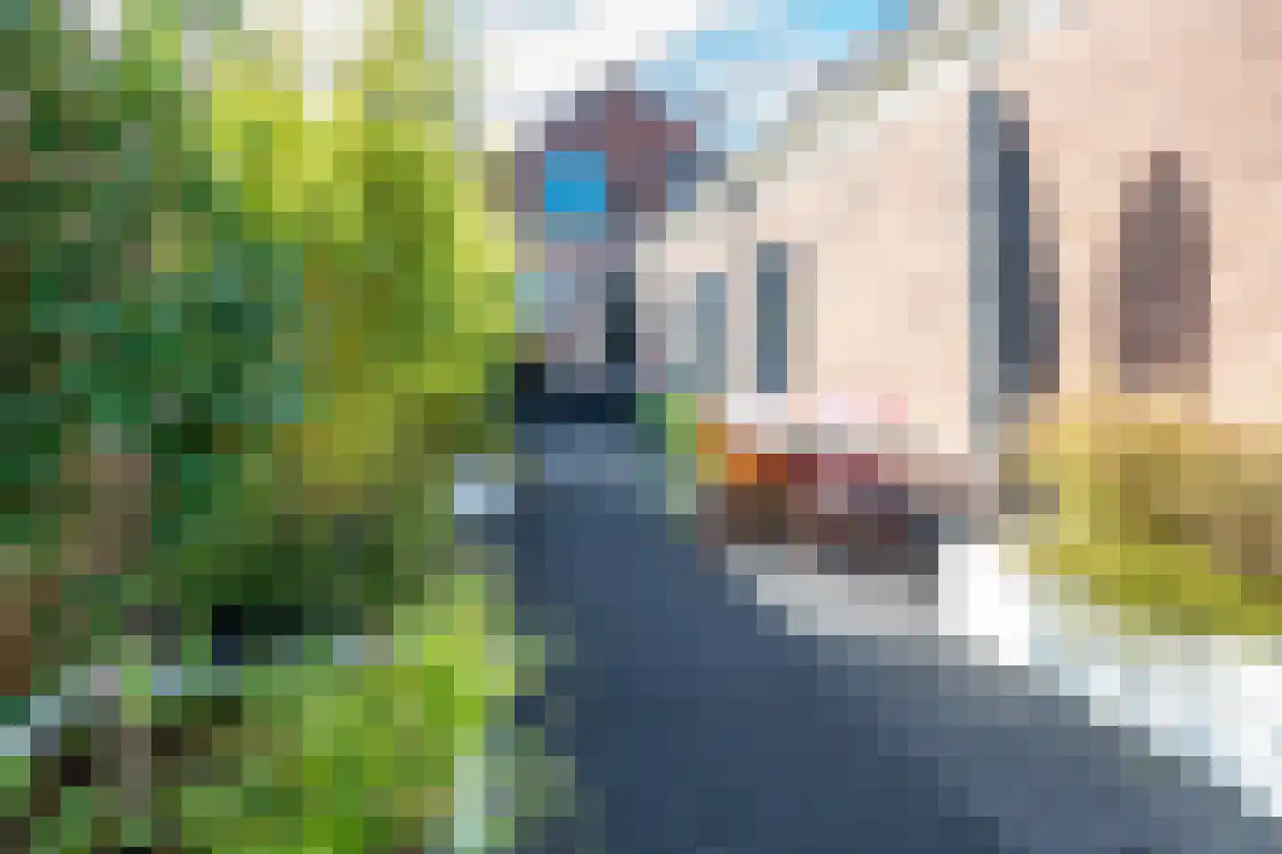 Badhuisstraat 2 a Vianen thumbnail 58