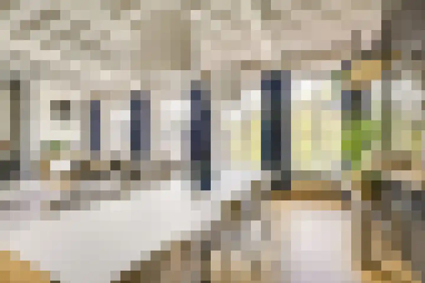 Badhuisstraat 2 a Vianen thumbnail 6