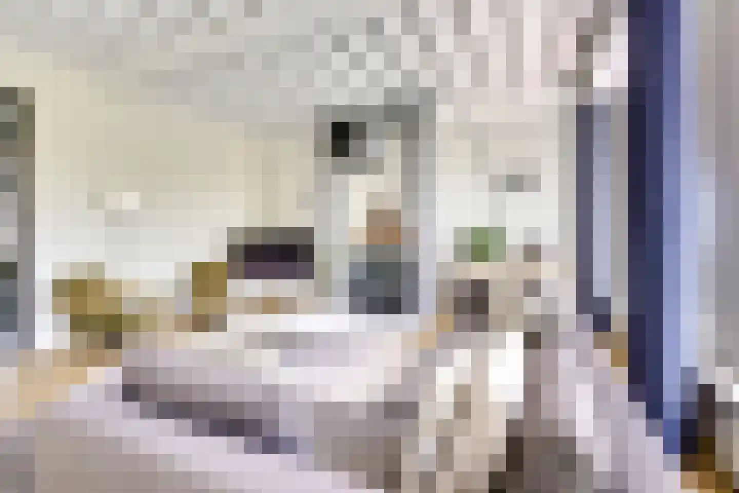 Badhuisstraat 2 a Vianen thumbnail 7