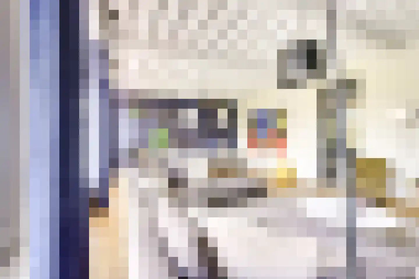 Badhuisstraat 2 a Vianen thumbnail 8