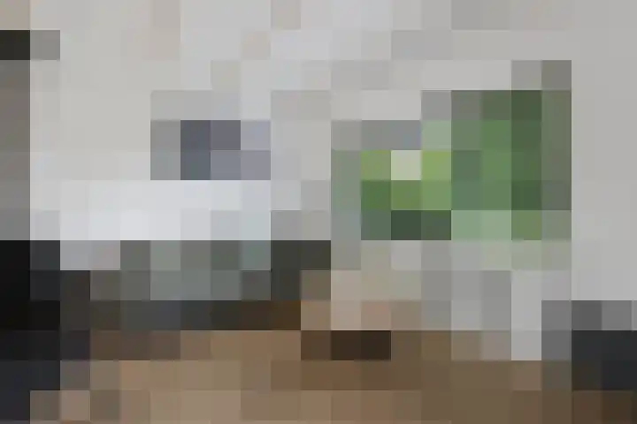 Badhuisstraat 20 Wormer thumbnail 11