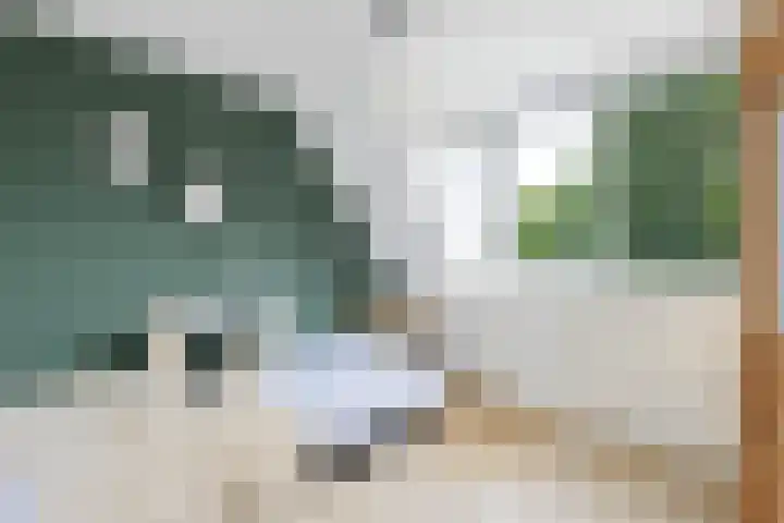 Badhuisstraat 20 Wormer thumbnail 20