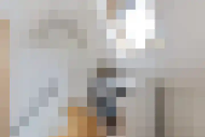 Badhuisstraat 20 Wormer thumbnail 27