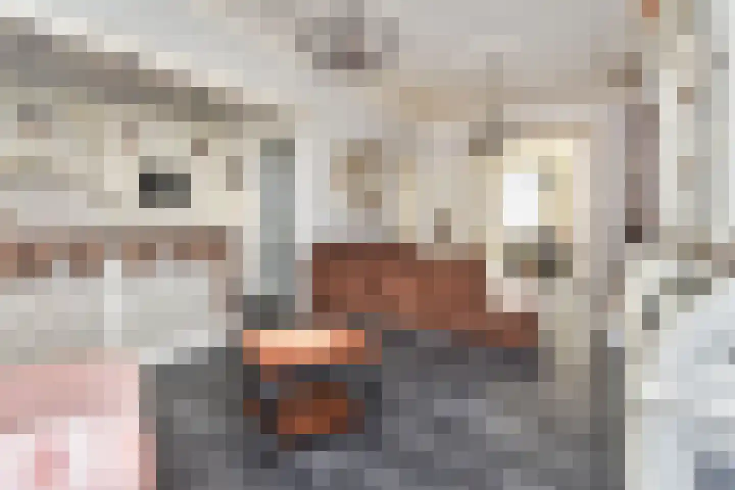 Badhuisstraat 21 Den Haag thumbnail 11