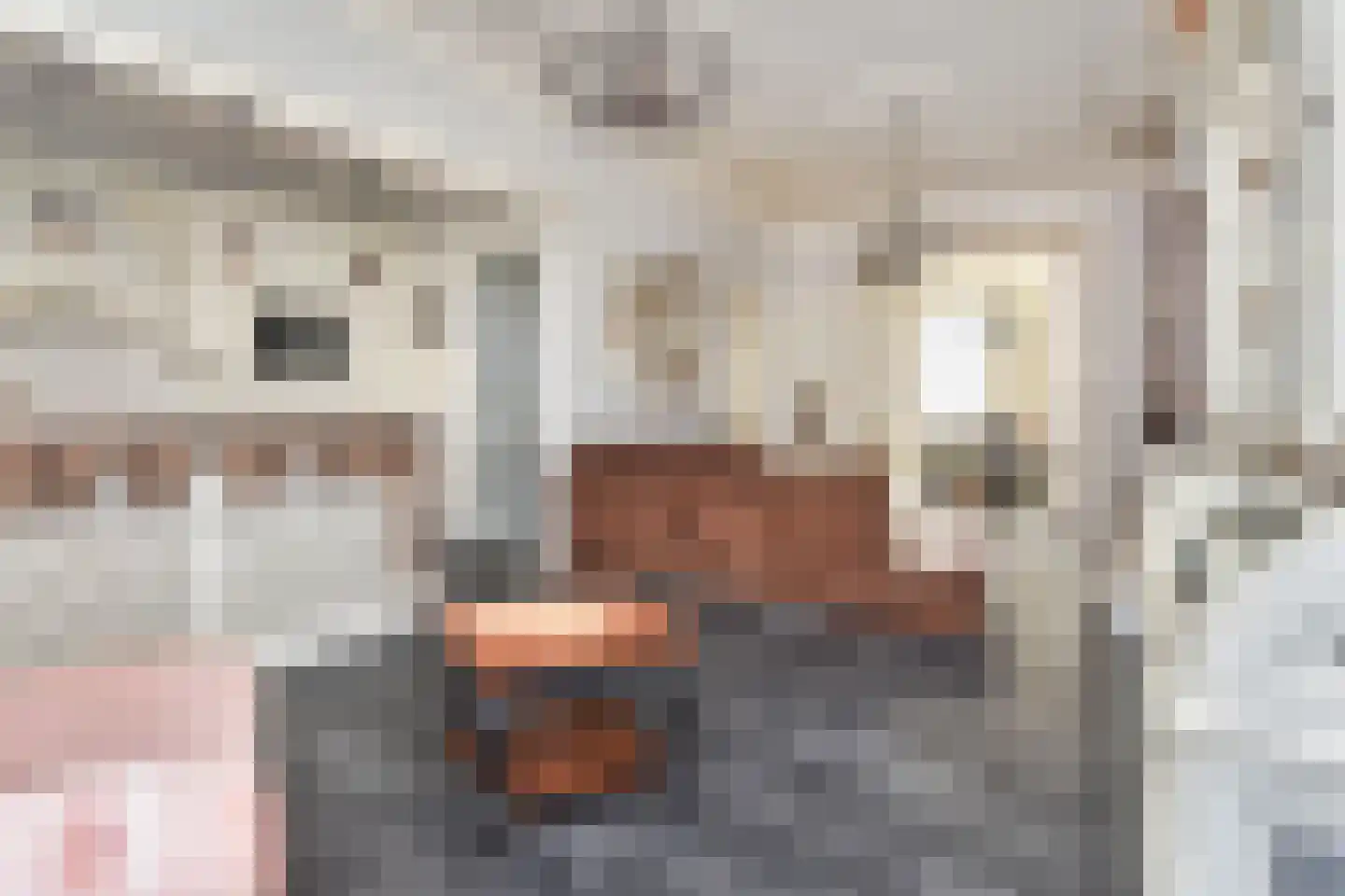 Badhuisstraat 21 Den Haag thumbnail 11