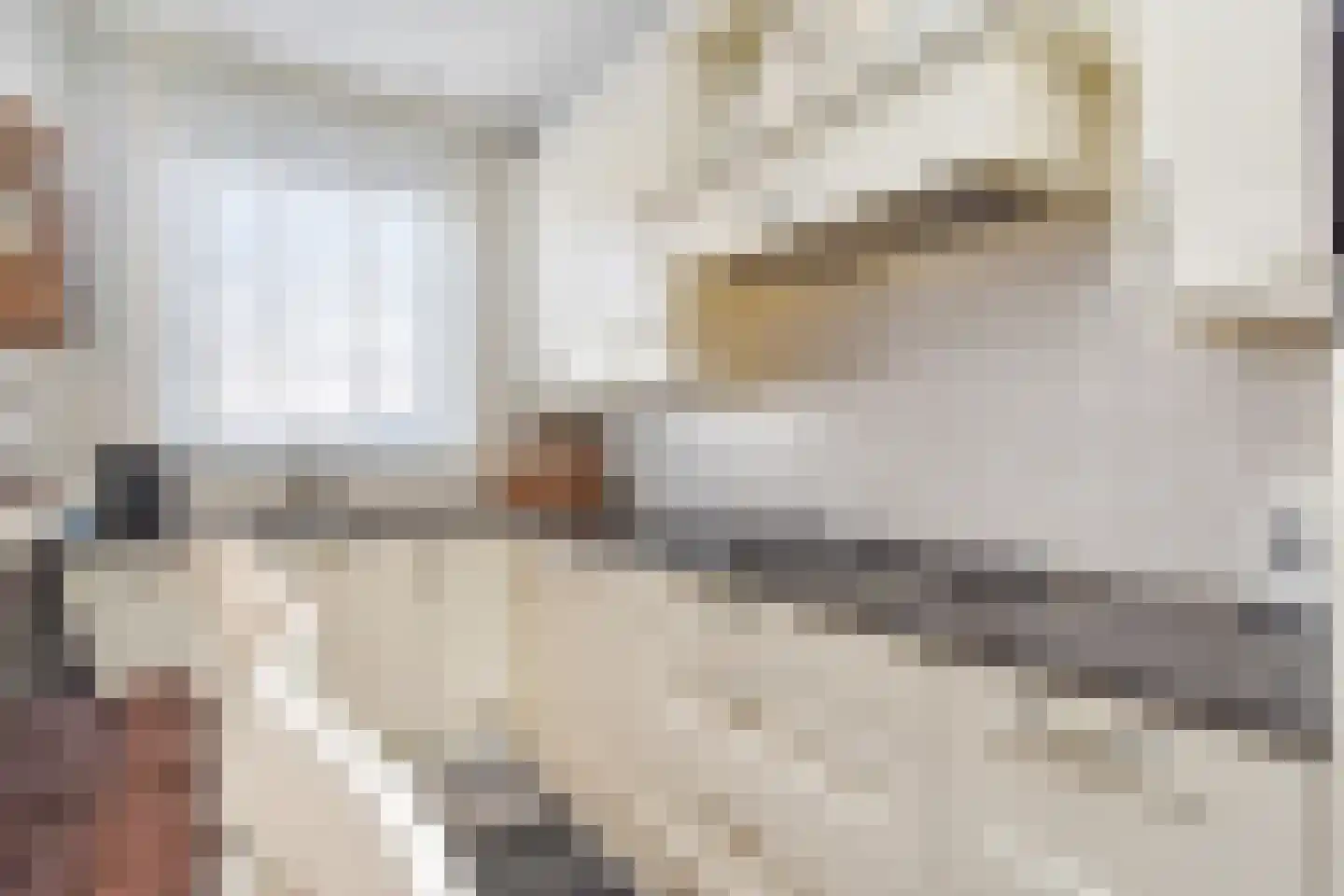 Badhuisstraat 21 Den Haag thumbnail 17