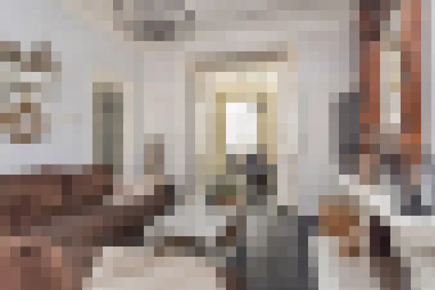 Badhuisstraat 21 Den Haag thumbnail 20