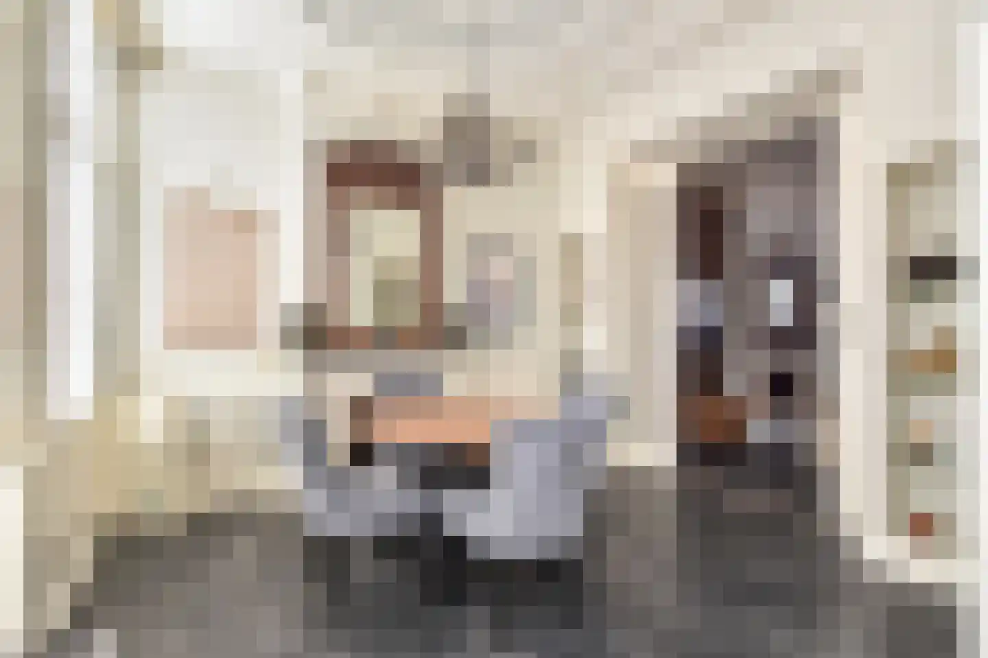 Badhuisstraat 21 Den Haag thumbnail 23