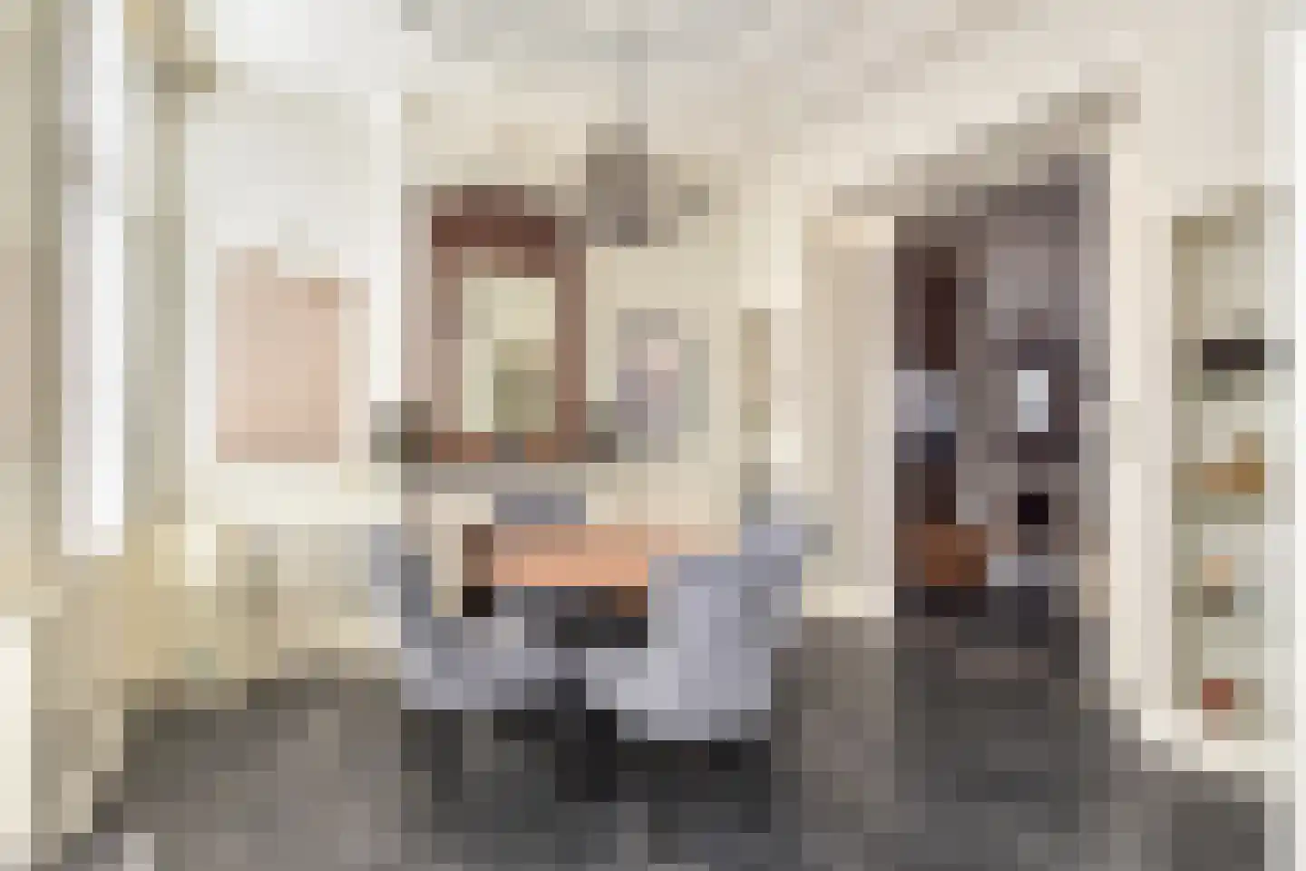 Badhuisstraat 21 Den Haag thumbnail 23