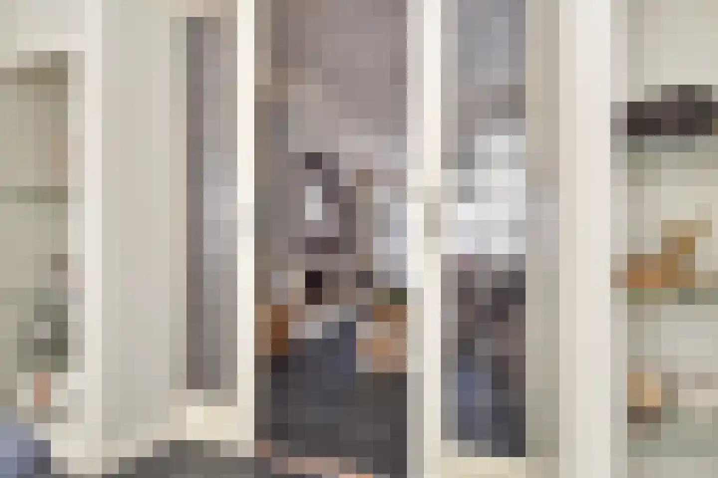 Badhuisstraat 21 Den Haag thumbnail 25