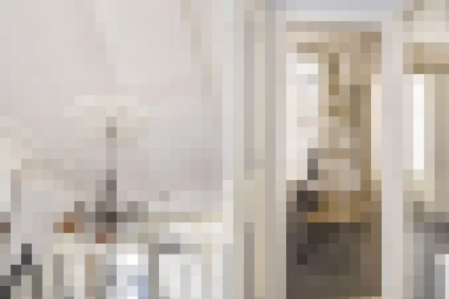 Badhuisstraat 21 Den Haag thumbnail 28