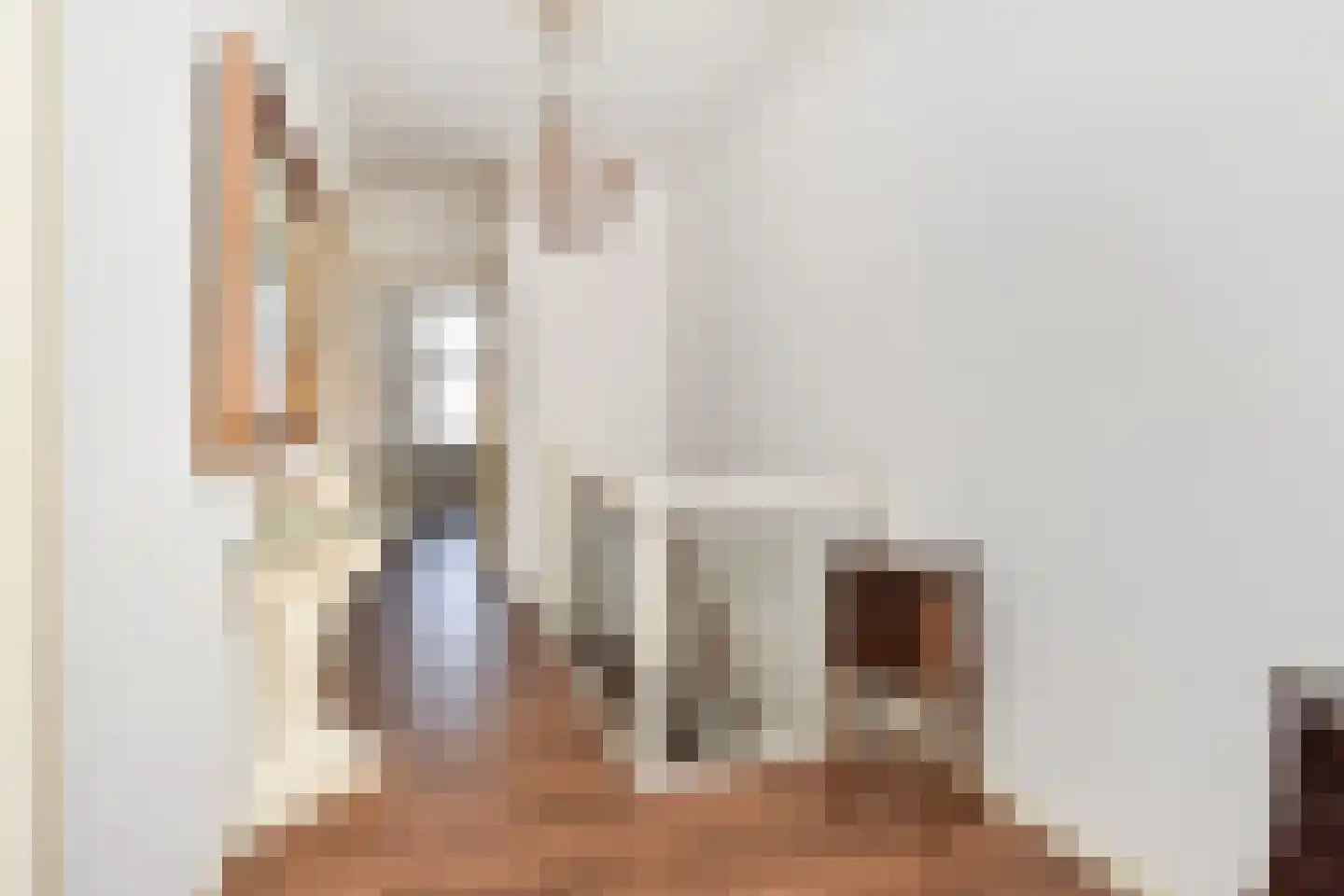 Badhuisstraat 21 Den Haag thumbnail 31
