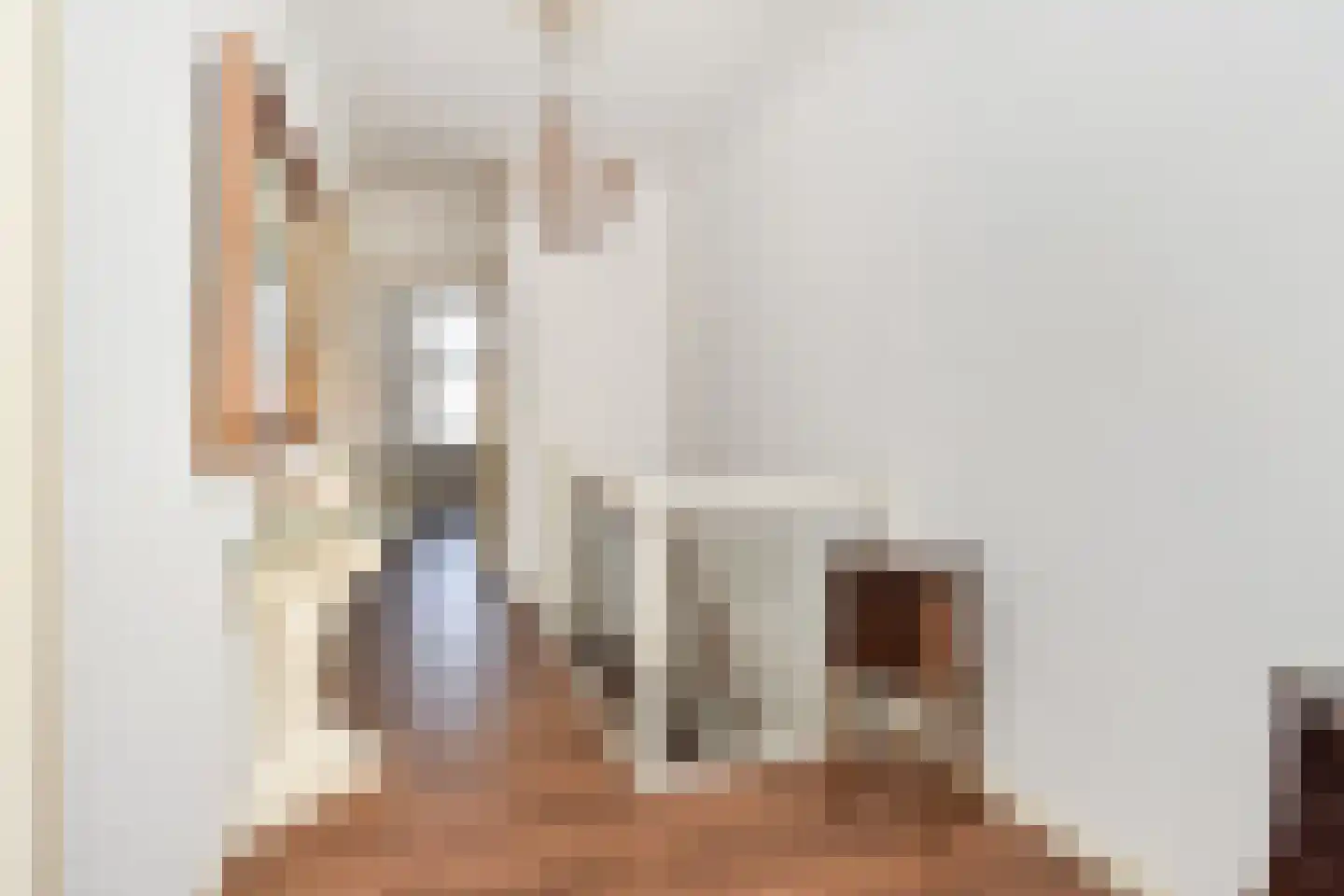 Badhuisstraat 21 Den Haag thumbnail 31