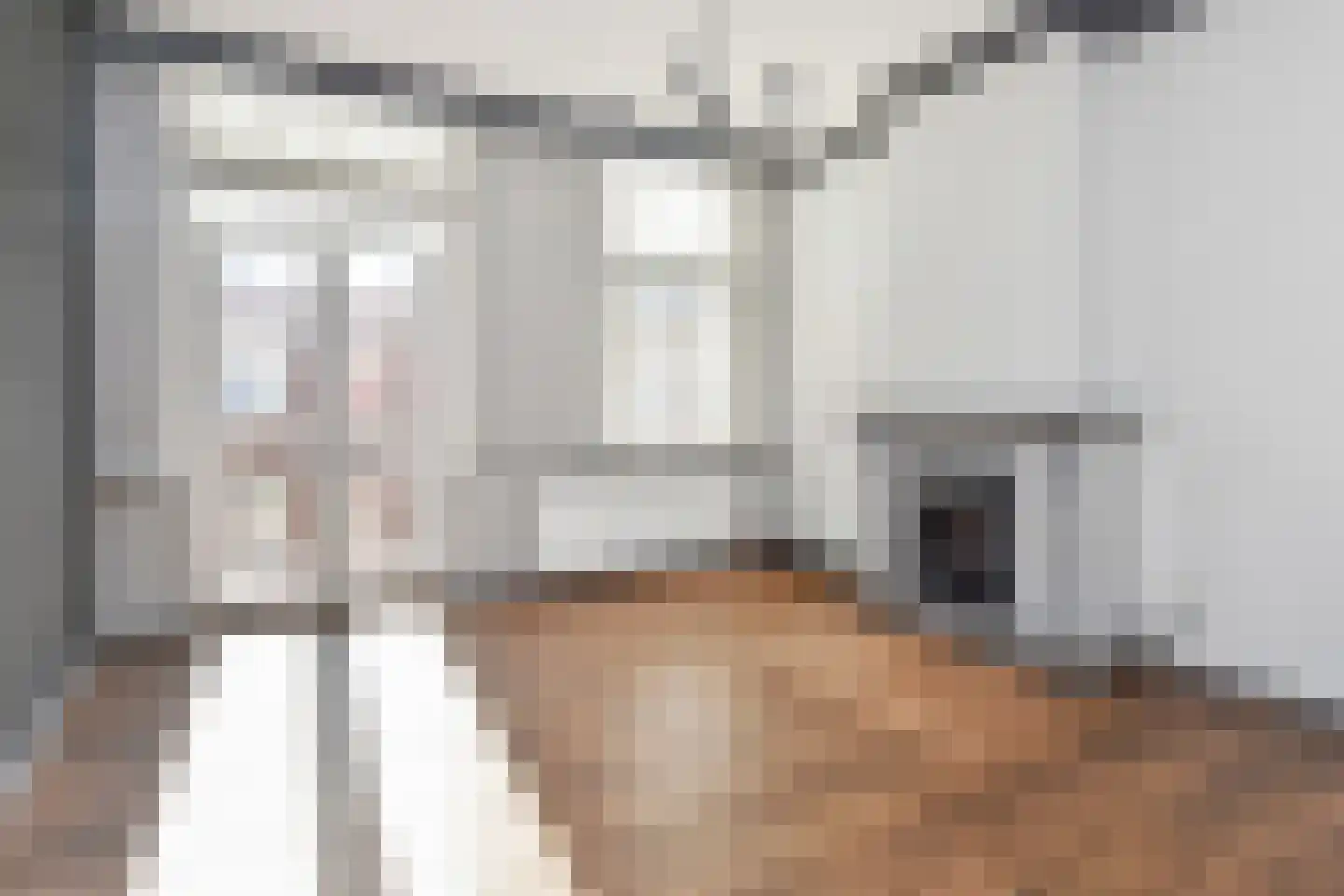Badhuisstraat 21 Den Haag thumbnail 34