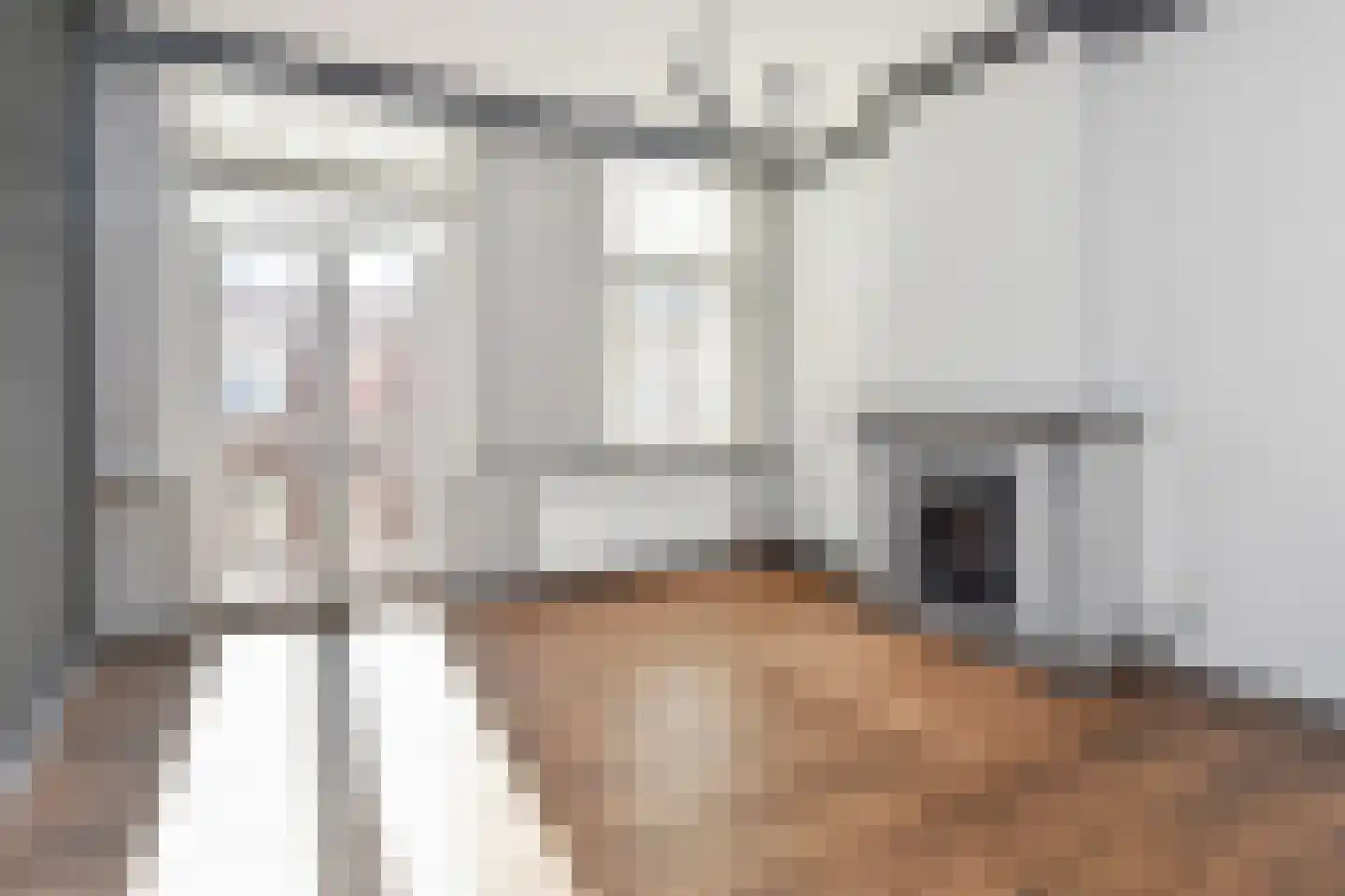 Badhuisstraat 21 Den Haag thumbnail 34