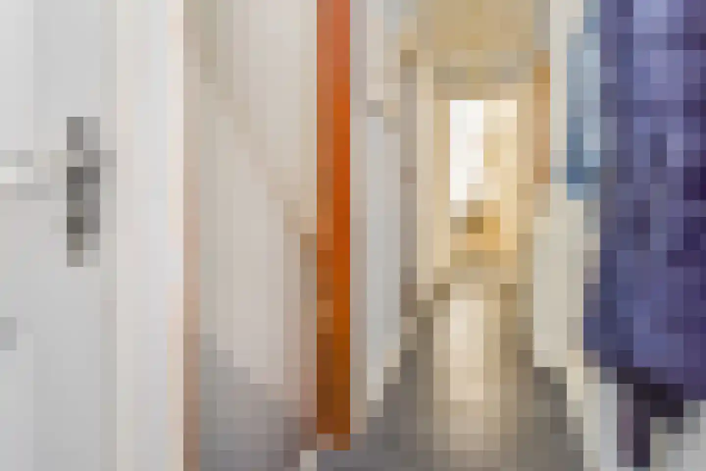 Badhuisstraat 21 Den Haag thumbnail 5
