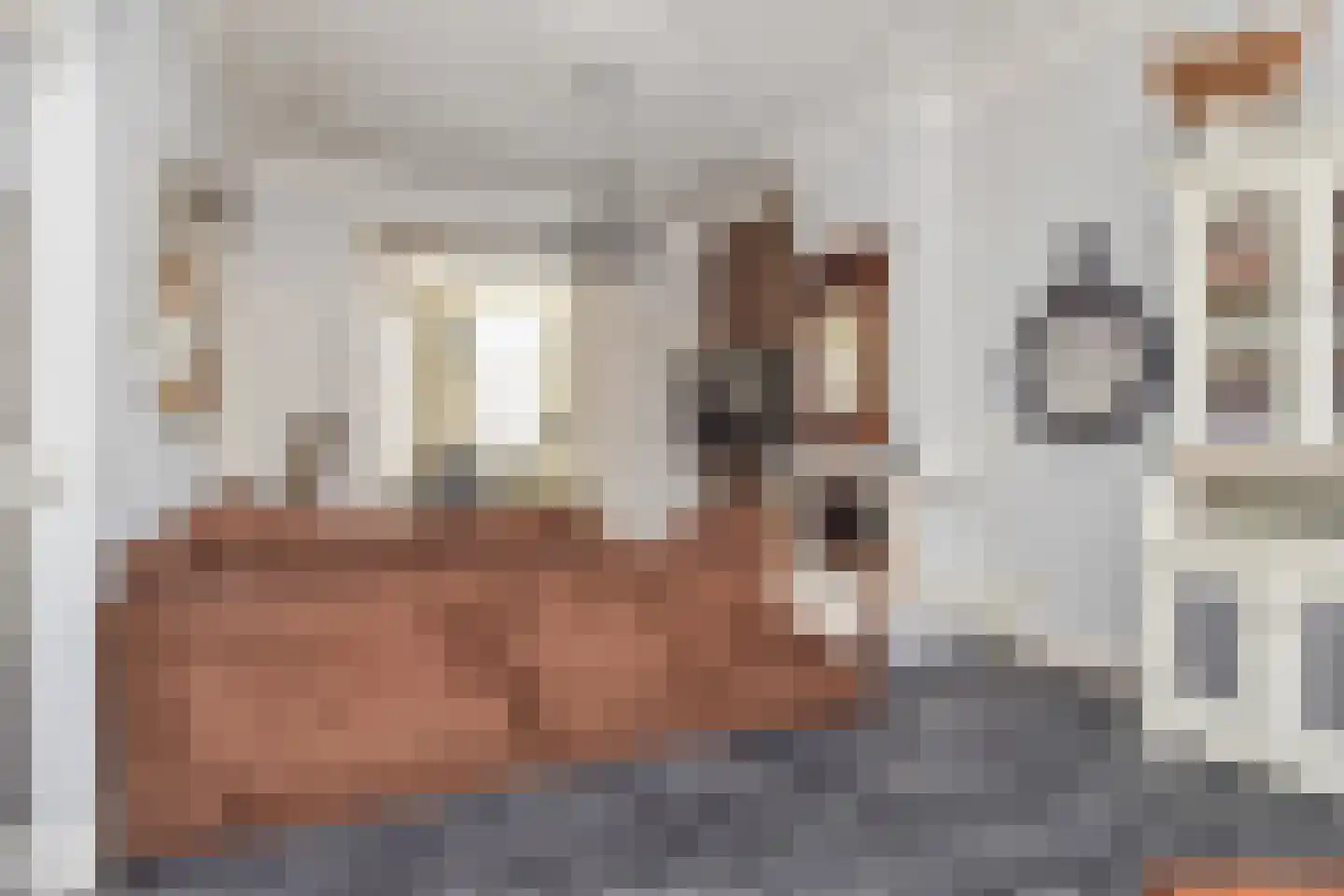 Badhuisstraat 21 Den Haag thumbnail 6