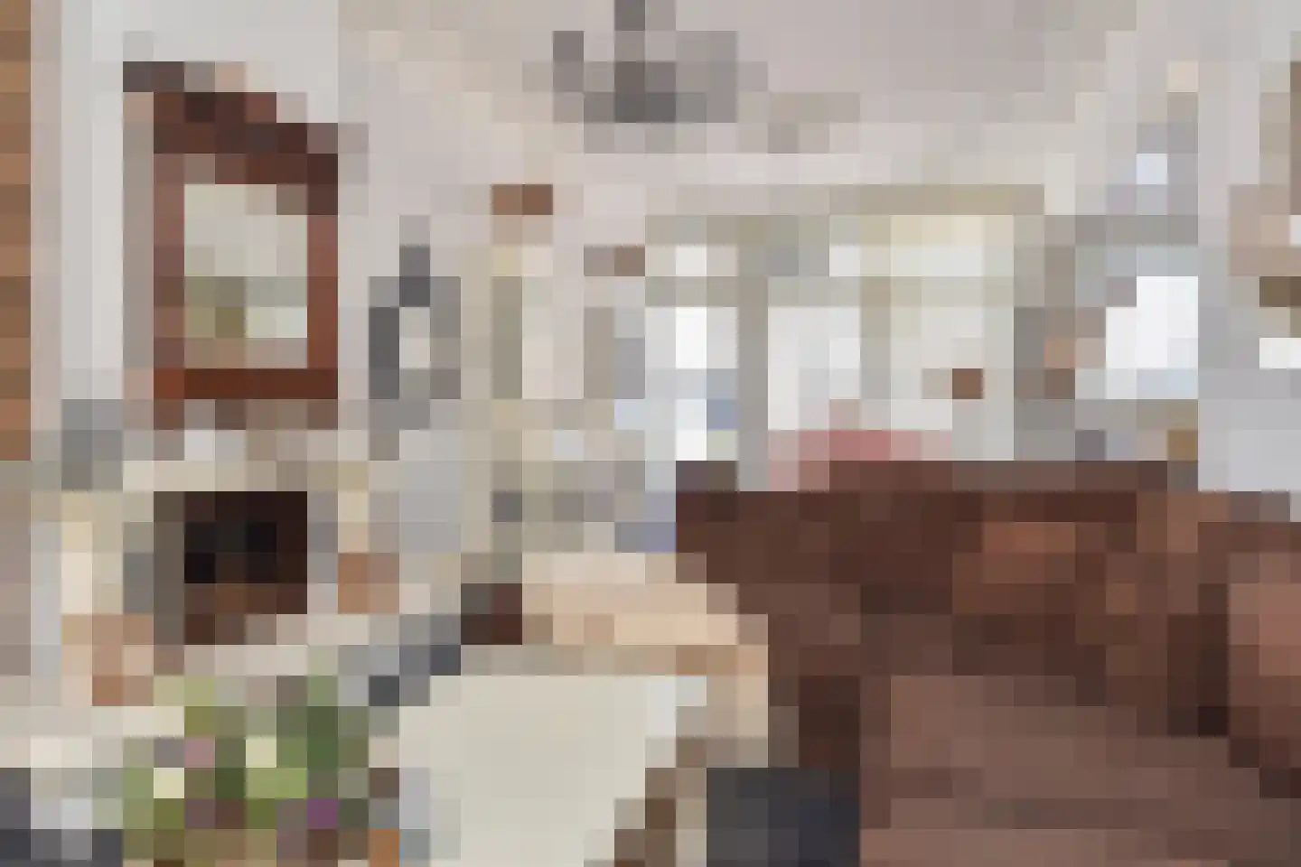 Badhuisstraat 21 Den Haag thumbnail 8