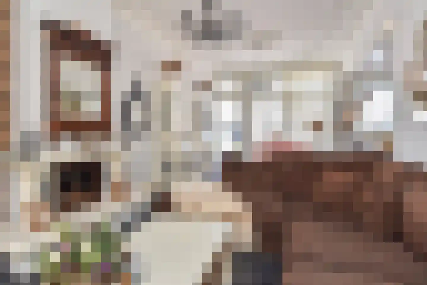 Badhuisstraat 21 Den Haag thumbnail 8