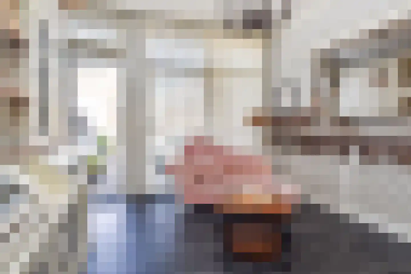 Badhuisstraat 21 Den Haag thumbnail 9